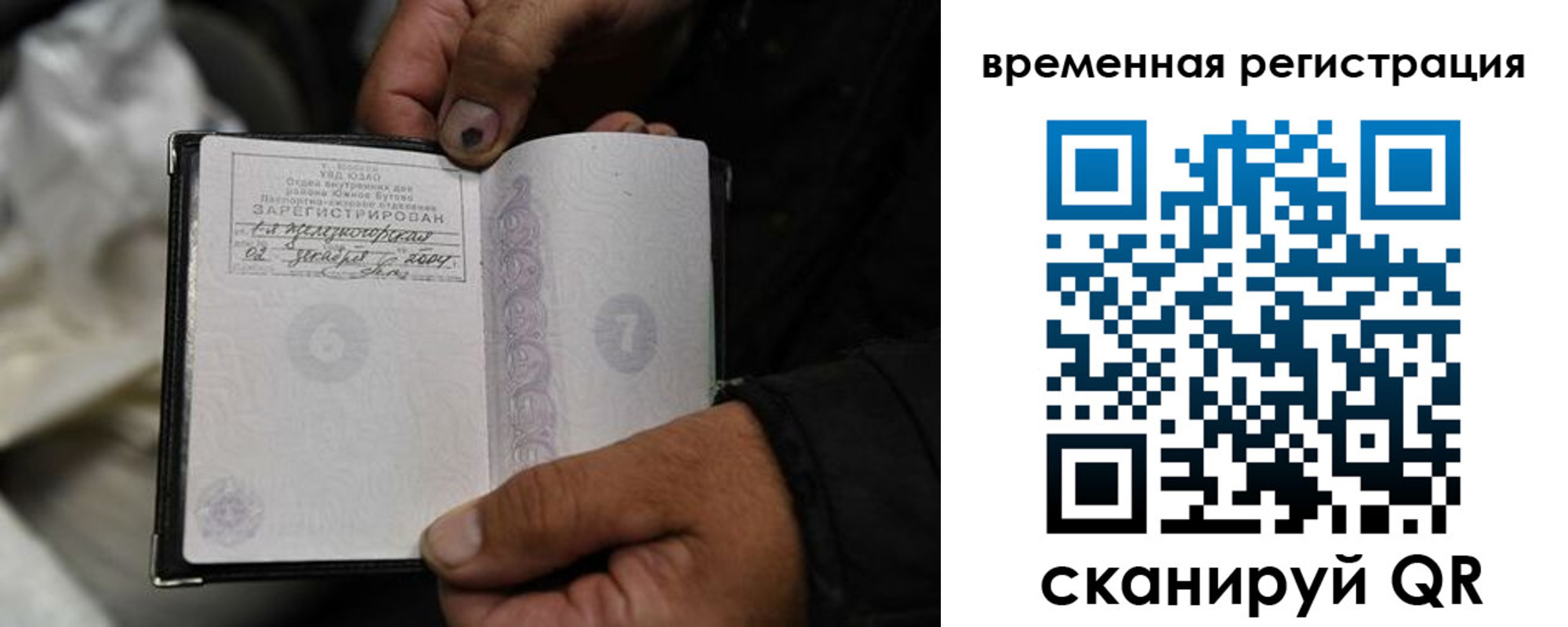 прописка поиск в Вологде